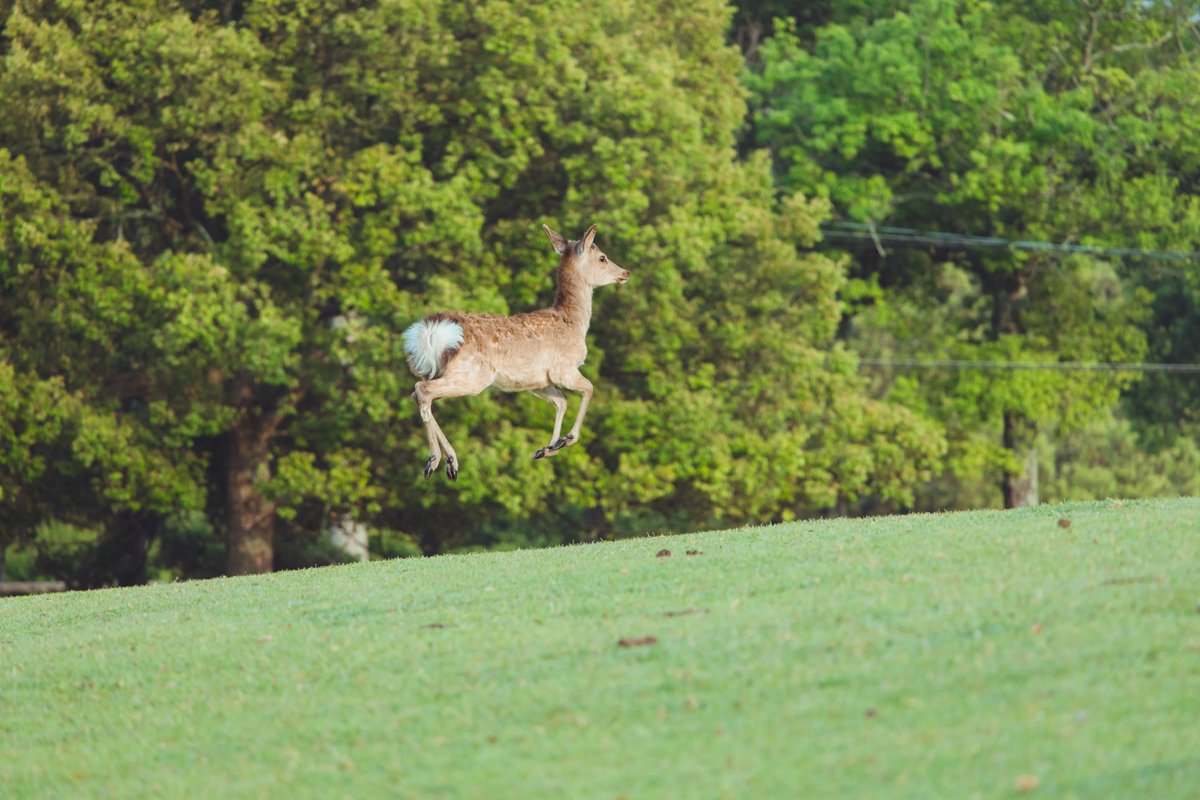 その他 x_x dfSv884zw1NC.jpg?width=768