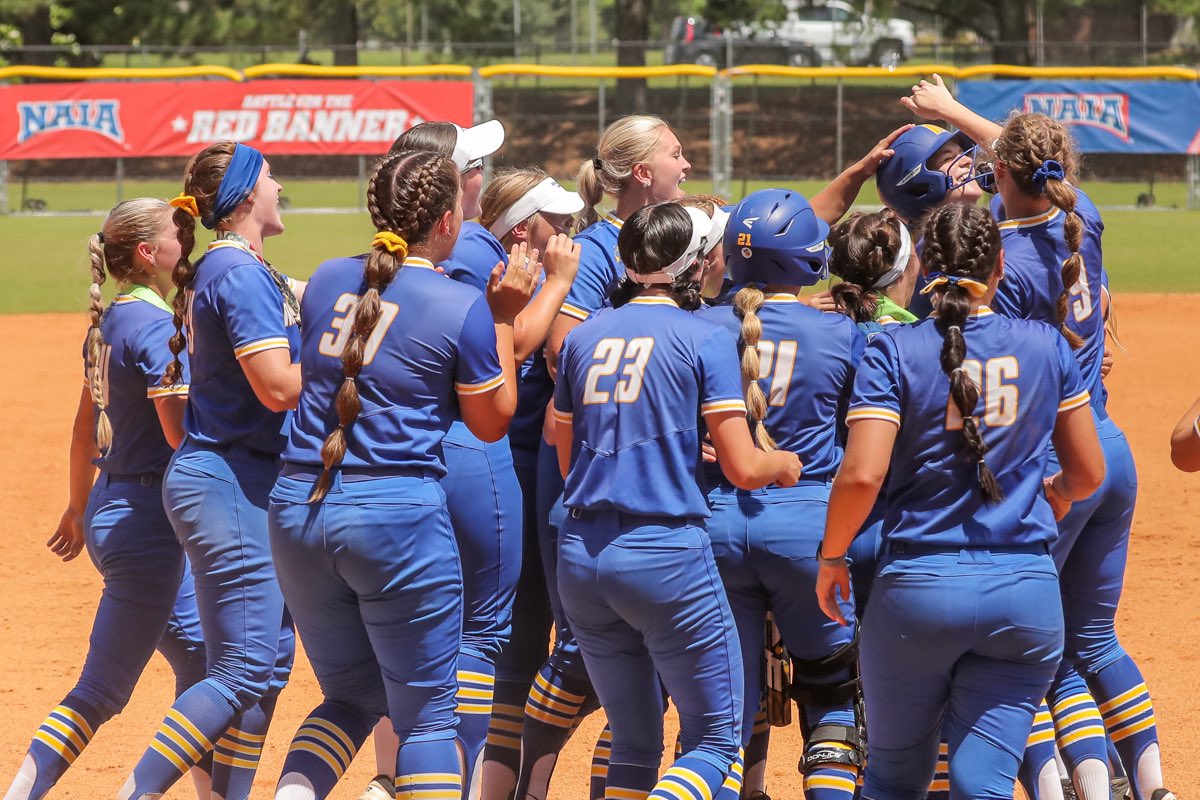 MSH Visual tweet media