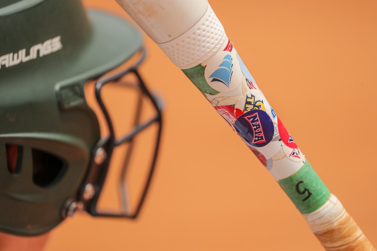 MSH Visual tweet media