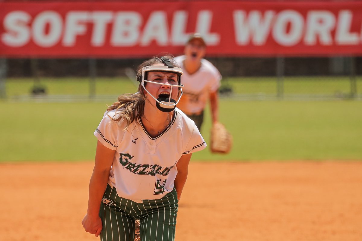 MSH Visual tweet media