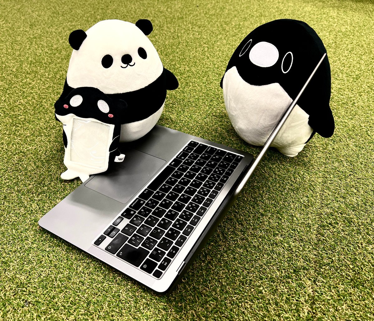 テイコウペンギン🐧 on X: 