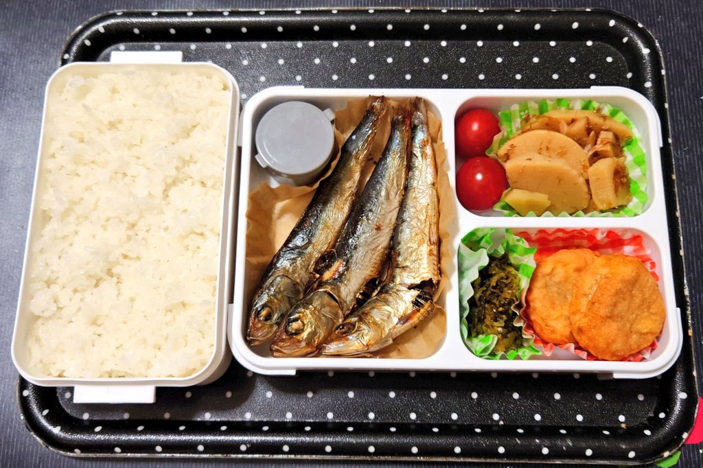 今日の手作り弁当は、めざし・唐揚げ弁当。

献立は、
・ごはんは高知県産コシヒカリ
・めざし（いわし丸干し）、大根おろし
・鶏唐揚げ、高菜漬
・たけのこの土佐煮、ミニトマト

#弁当 #手作り弁当 #手製弁当 #めざし #鶏唐揚げ #めざし弁当 #唐揚げ #焼魚弁当