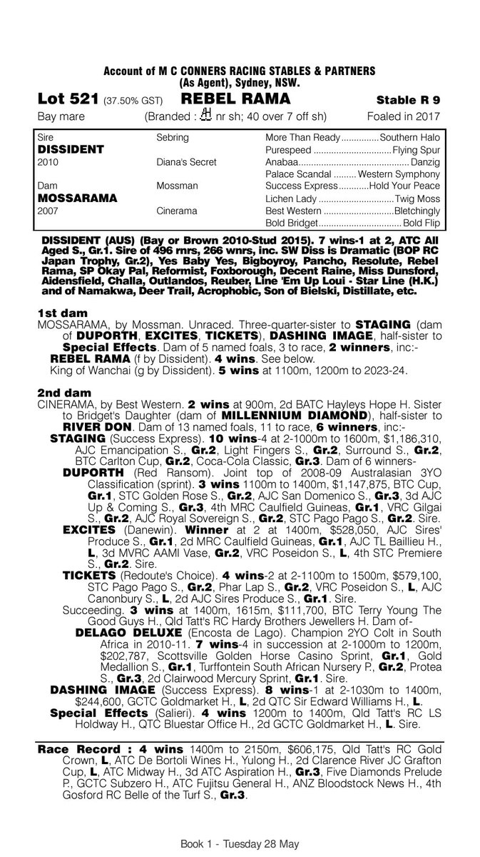ConnersMarc's tweet image. Stakes winning mare REBEL RAMA heads to @mmsnippets sale on Tuesday. Catalogued as lot 521 . She is the winner of over $600k and 4 races including 
Eagle Farm  GOLD CROWN (listed) 
2nd in GRAFTON CUP(listed) 
3rd ASPIRATION stakes (Group 3) 
4th BELLE OF TURF (group 3)