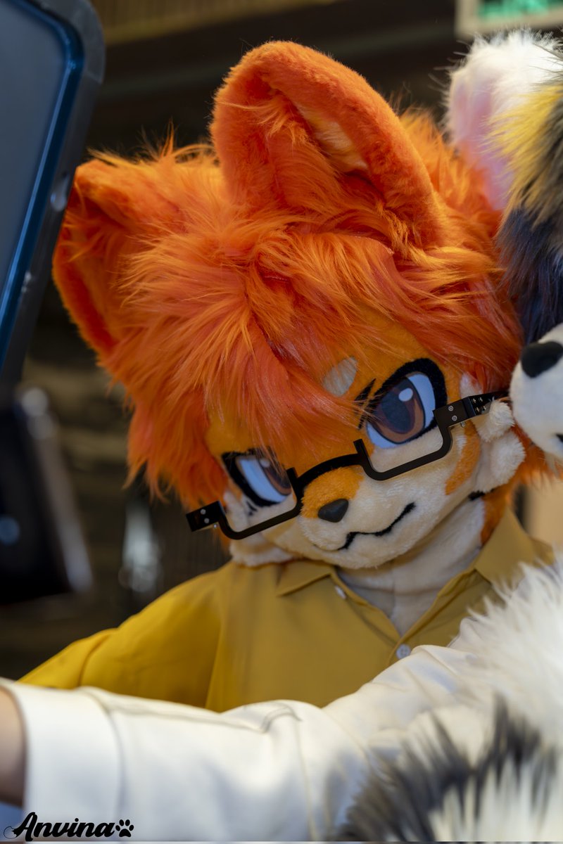 #FursuitFriday #FursuitEveryday Today is Friday! But you also need to study hard (*push glasses)