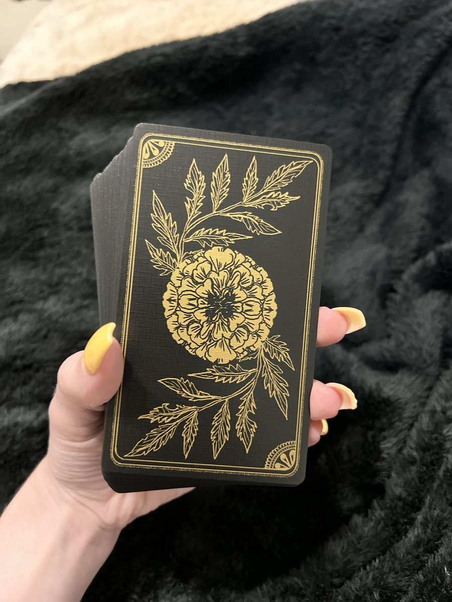 _AsToldByVenus's tweet photo. new tarot &amp; oracle duo alert 🖤 https://t.co/TZt73w5LzS