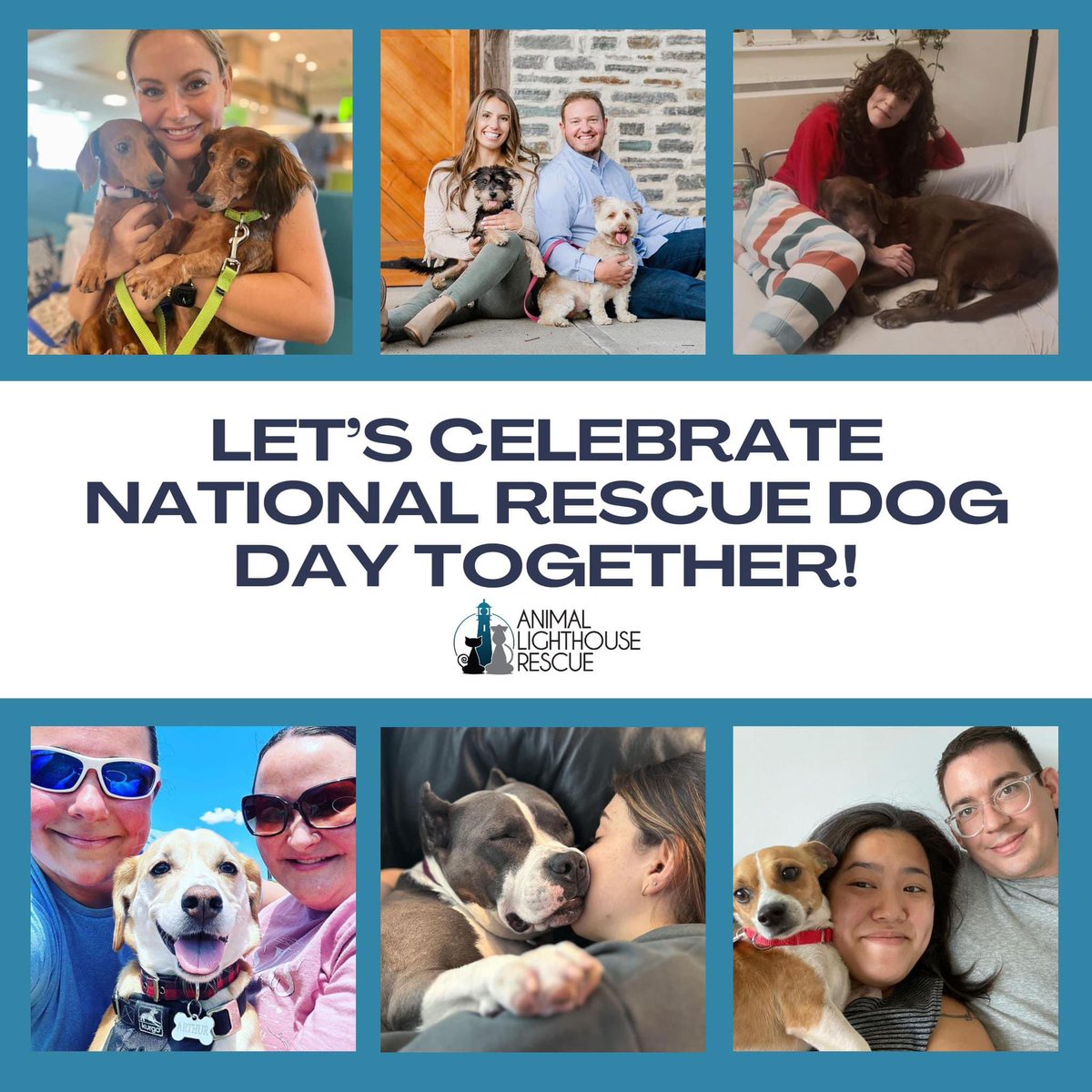 harrys4876's tweet photo. Happy birthday to me!

If you haven’t already, please donate to @ALRcares in support of their 🇵🇷dog and cat rescue mission. 

Here’s the link - https://t.co/zCSzGIeJD1. 

Thanks for your help saving animals and finding them loving homes!

#rescuedog #adoptdontshop #donate https://t.co/KZv668LQxk