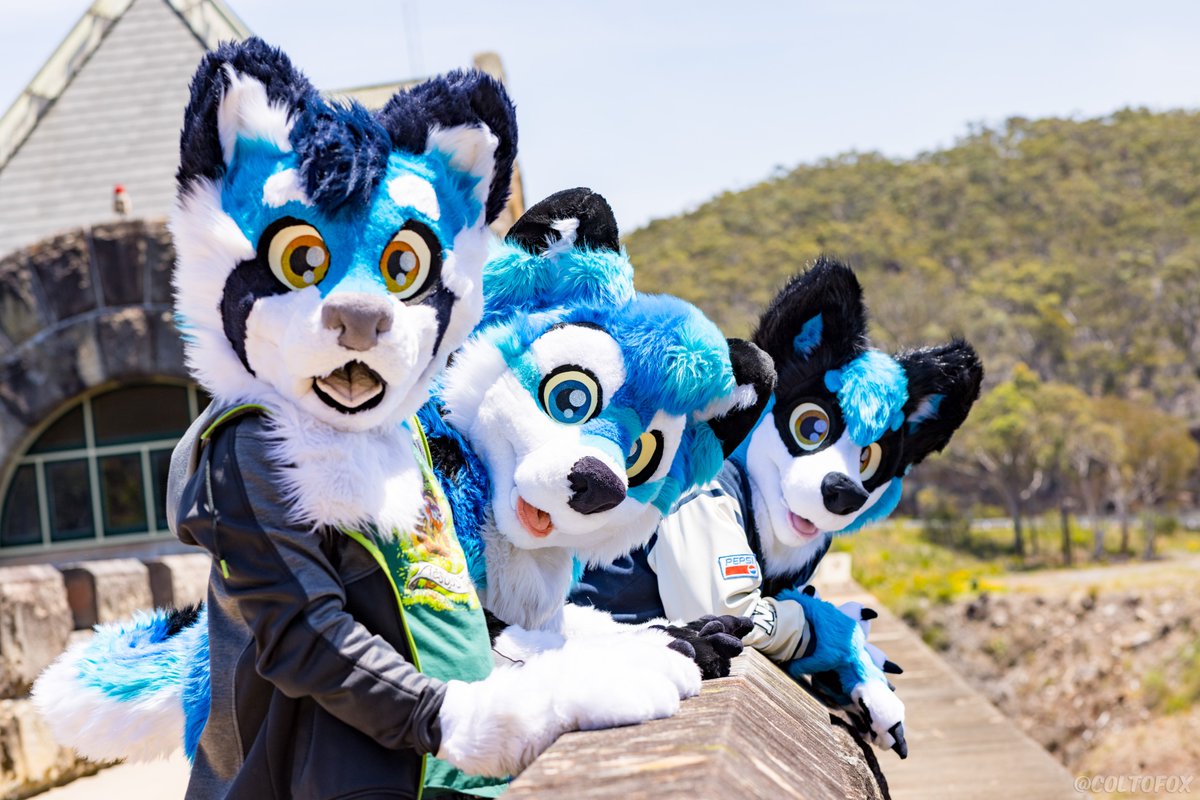 Plenty of blue boys around for me to cuddle this #FursuitFriday 🥰

📸: <a href="/coltofox/">Colto Fox</a> 

#Furry #Lupesuits #fursuiter #fursuits
