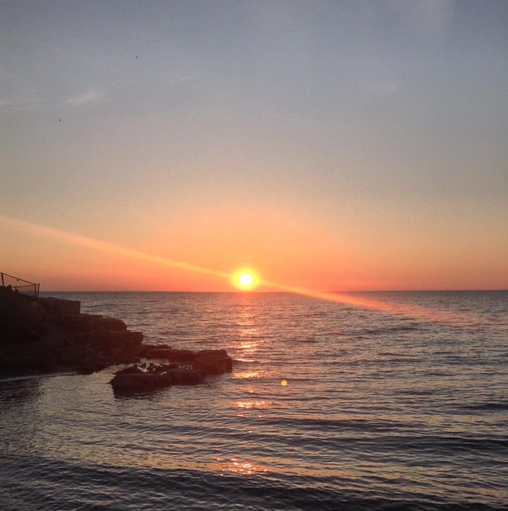 JobGJoe's tweet image. Sans Soleil