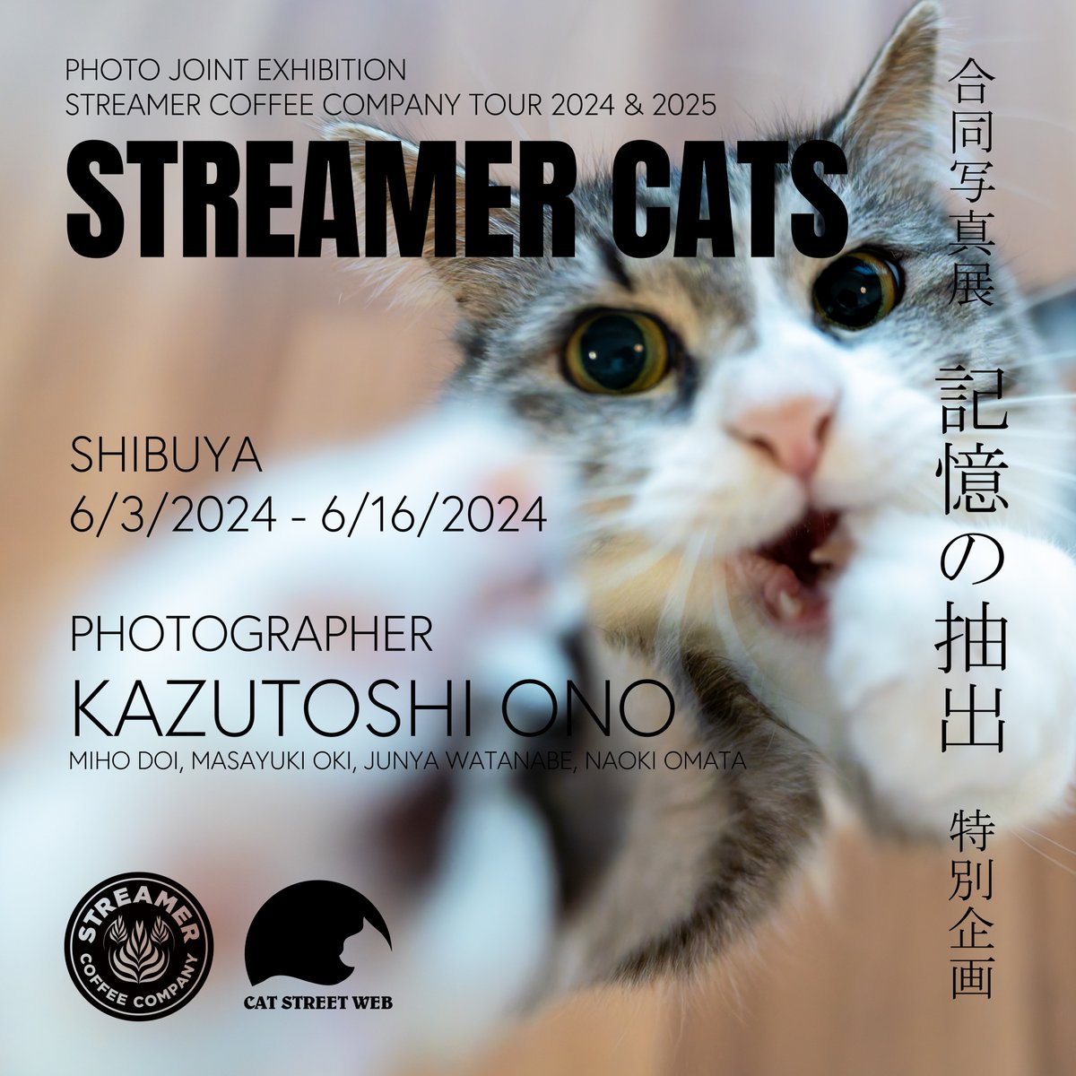 【６月の渋谷での展示のお知らせ】
CAT STREET WEBが主催する合同猫写真展 “STREAMER CATS” に、写真集『みんなケンジを好きになる』の土肥 美帆さん、写真集『必死すぎるネコ』シリーズの沖 昌之さん、愛猫家でもある主催のNaoki Omataさん、BMレギュラーのJunya Watanabeさんとともに参加します。