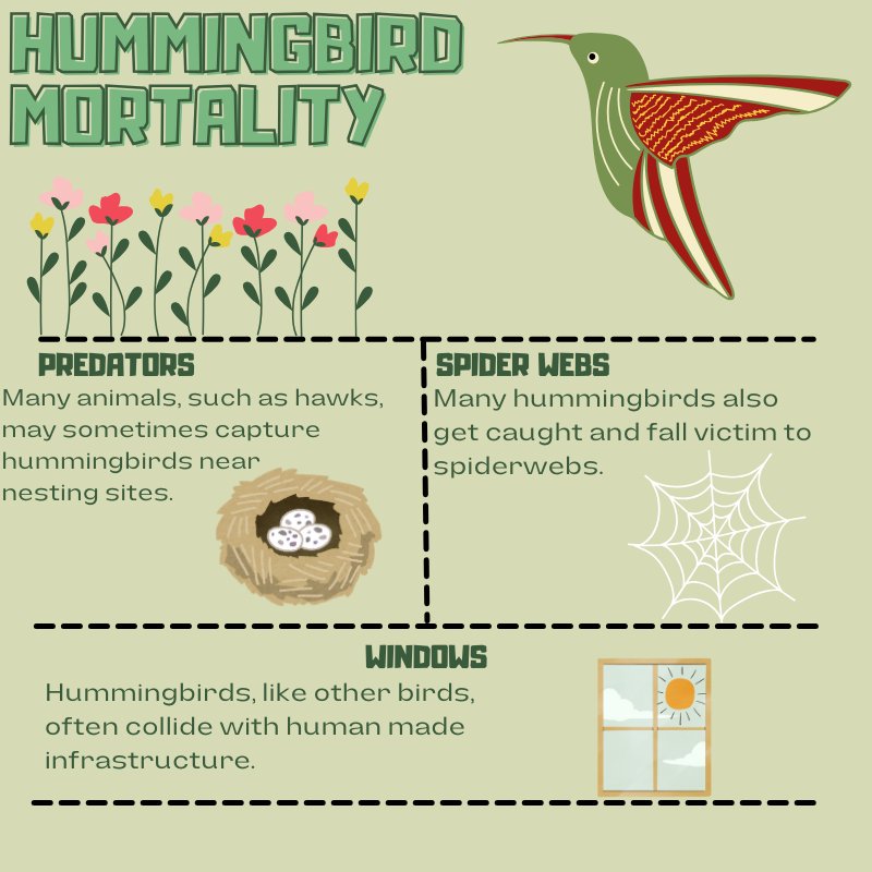 andytorc's tweet image. #UCanimals