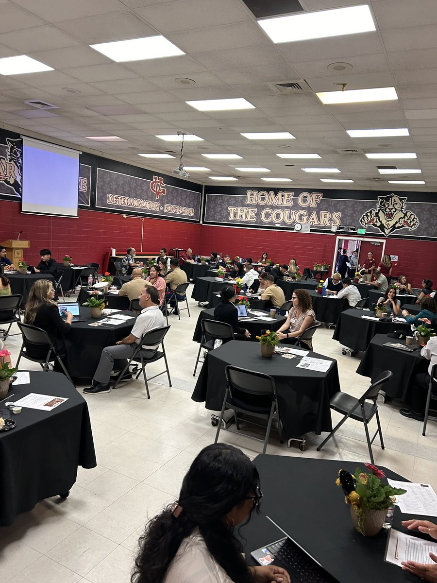 Freddy Cougar tweet media