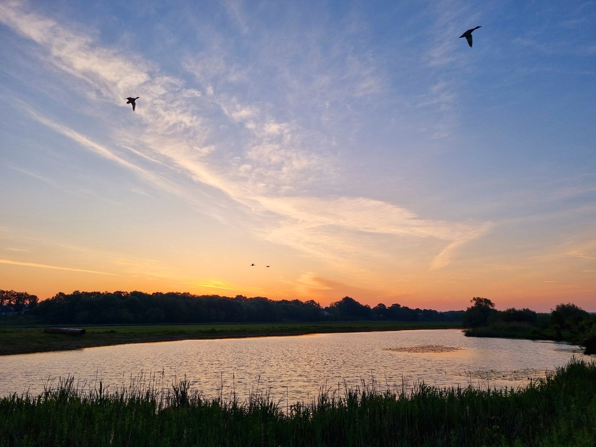 We vliegen het water over en zijn even onderweg. Fijne vrijdag😀 #natuur #landschap #lente #Rhenen #ElstUt #Elsterbuitenwaard #zonsopkomst #mooieluchten