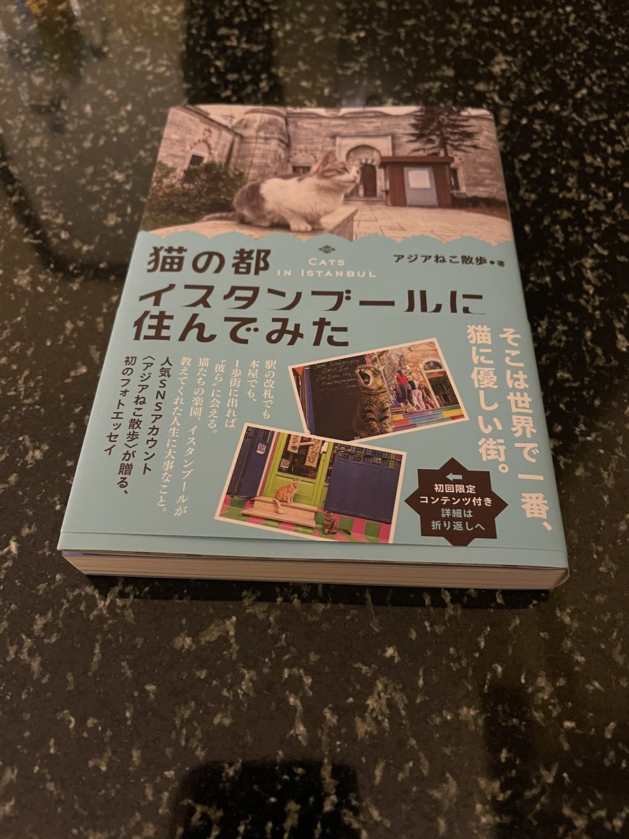 本日でイスタンブール観光終了。渡航前に一読してきましたが、観光の際もう一度読みながら市内を観光しました。イスタンブールが猫に優しい都であることを体感し、有益な情報をもとに、観光を楽しむことが出来ました！とにかく猫が人懐っこかった🐈 #猫の都イスタンブールに住んでみた #イスタンブール