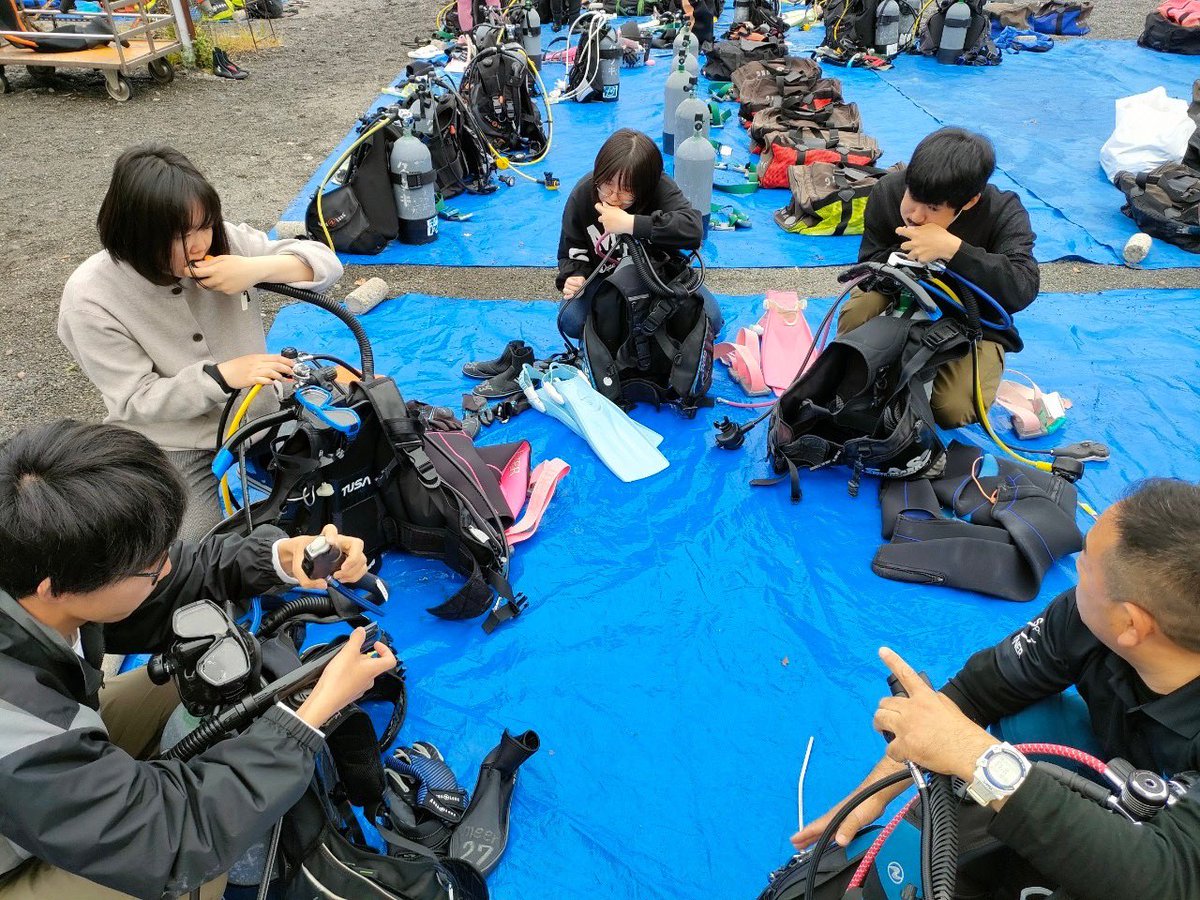 TRITON_tokai's tweet image. 5/19に、また新たに6人がダイバーになりました！OWD②③グループのみんな認定おめでとう！🎉🎉

なんと②グループが、サカタザメに遭遇🦈❗️
超ラッキー⭐️
みんなダイビング初めてなのに、上達早すぎて、ビックリでした笑

まだまだ新入部員募集中です！
連絡待ってるよ〜🪼