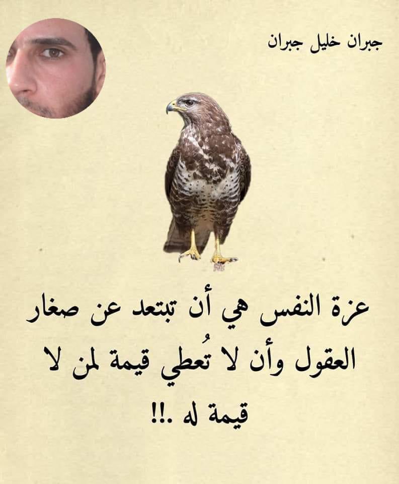 Salma (@salsheibani) on Twitter photo 