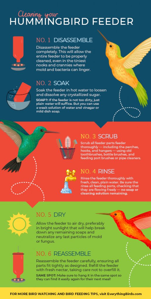 andytorc's tweet image. Want to learn how to properly clean your hummingbird feeder to possibly save a hummingbirds' life? Check this out! #UCanimals