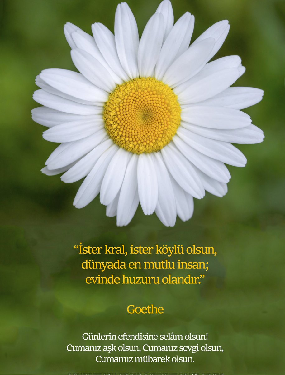 Cumanız hayırlı ve bereketli olsun.