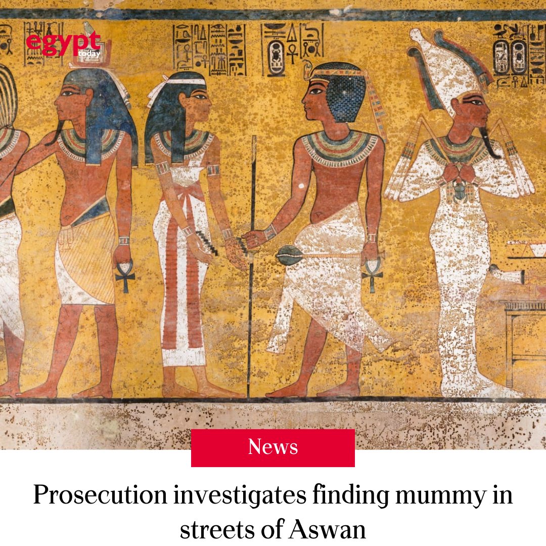 The Public Prosecution in Aswan has started investigating the discovery of a mummy inside a cage on a street in the Aswan governorate.

Details: egypttoday.com/Article/1/1324…

#Egypt #AncientEgypt | #مصر #مصر_القديمة #تاريخ_مصر