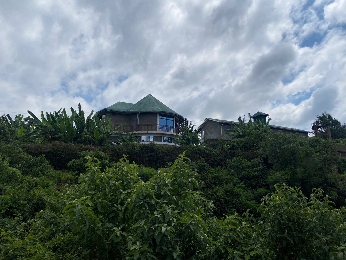 TUMAINICOTTAGE's tweet photo. #Travel
Good morning world! It’s looking green as always at Tumaini Homestay Arusha lodge
#Arushaaccommodation
#Arushalodge
#VisitTanzania https://t.co/v9sCQeBVej
