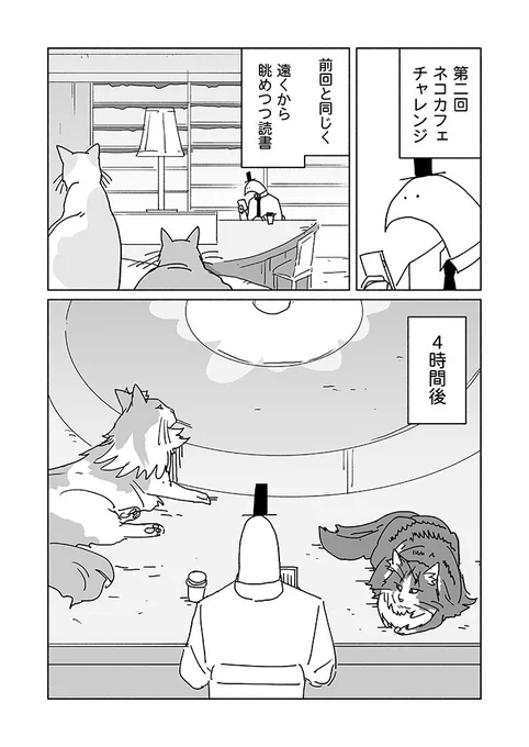 初めて触れるお許しを得られた猫カフェ日記です。(1/2) 