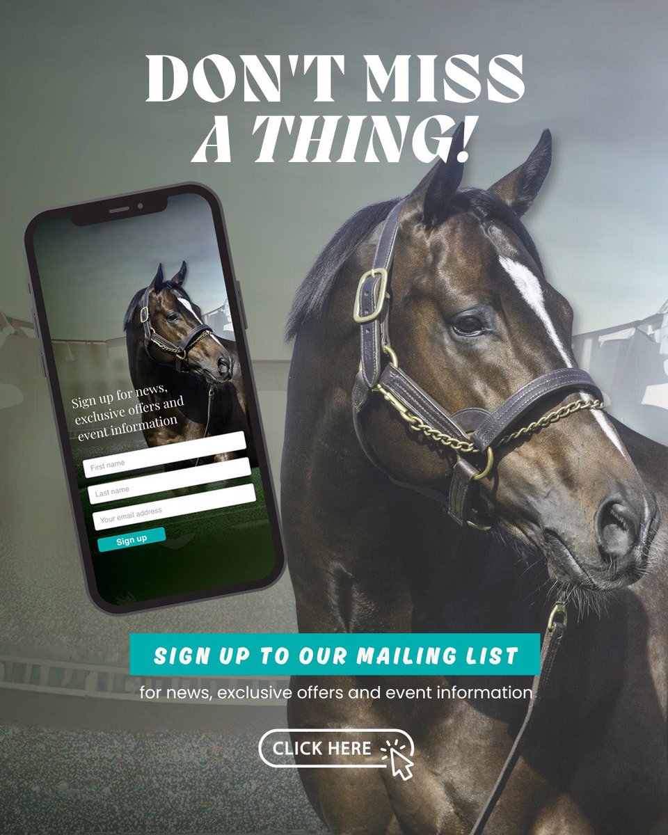 Stay in the loop with Aquis Stallions! Sign up for our mailing list to receive the latest news, exclusive offers, and event updates directly to your inbox. Don’t miss out—join today! aquisfarm.com/signup/ #AquisStallions