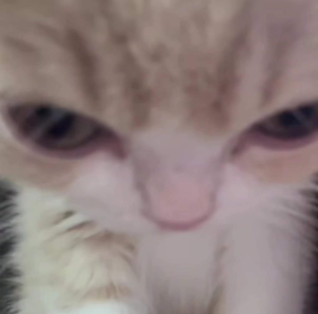 Crystal_white tweet media