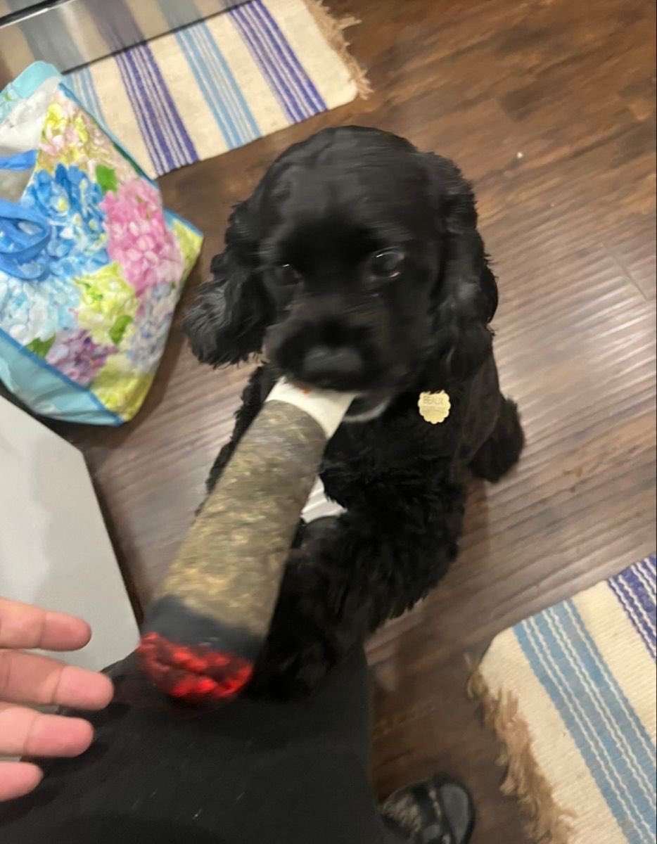 twaniimals's tweet photo. https://t.co/2gYuNxZDUU
