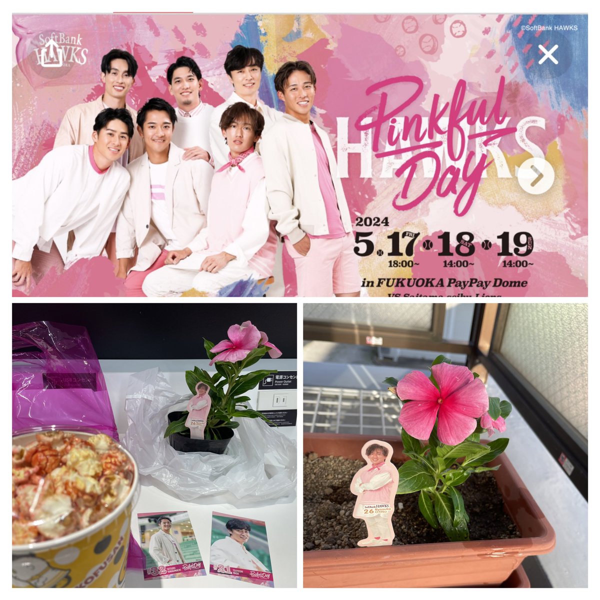 0c7cBn2Is0jgNtq's tweet photo. 私の誕生日からのピンクフルデー💕〜
PONCLUB応援デー📣、お笑いライブ🤣😂🤣😂…イベント続き…今日はぐだぐだしてます!! 17日〜23日まで(職場のバトル?も入れたら)(笑)…😅
めっちゃ濃一週間でした!!
#誕生日 #ピンクフルデー #PONCLUB
#漫才スープレックス https://t.co/kTQ9Yrcauq