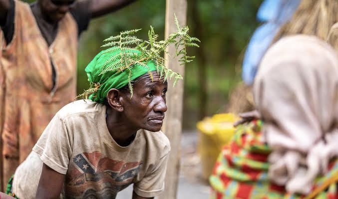 GiraffeSights's tweet photo. Experience rich cultural heritage with Giraffe Sights Africa!

Visit the #Batwa Tribe near #Bwindi Impenetrable National Park. Embrace authenticity, history, and #tradition

For Inquiries;

info@giraffesightsafrica.com https://t.co/opx1tqHJOD

#ResponsibleTourism #Atalanta https://t.co/gPeSPfLx29