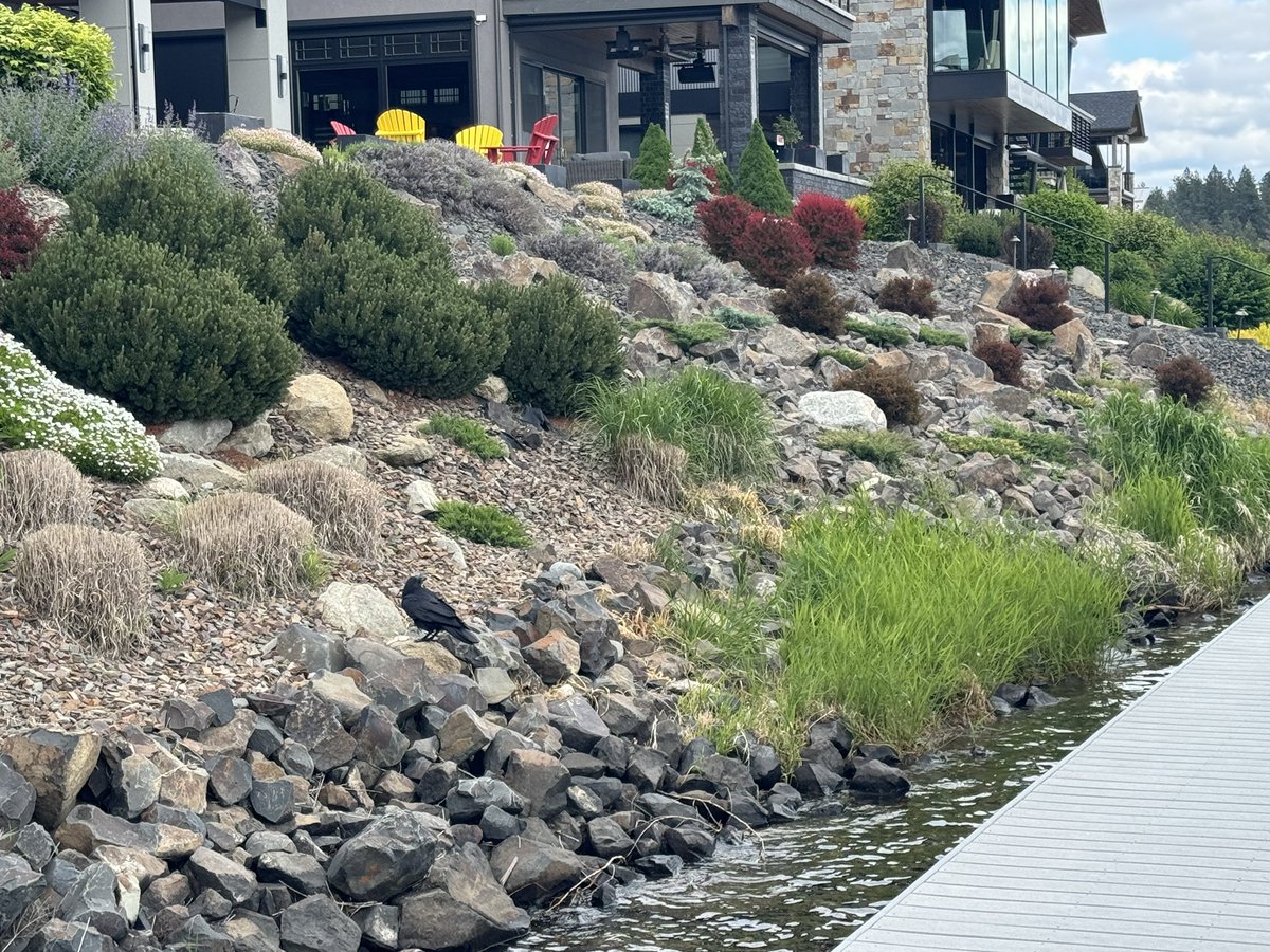 Ron Ayers (@rjayers) on Twitter photo Listening to <a href="/cdixon/">Chris Dixon</a> on @rickrubin pod on my five miler today, when RR himself walks by, 😉 and then this crow nearly landed on my shoulder! 💪🏼 🐦⬛ 🚀 🙏🏼 Listening to <a href="/cdixon/">Chris Dixon</a> on @rickrubin pod on my five miler today, when RR himself walks by, 😉 and then this crow nearly landed on my shoulder! 💪🏼 🐦⬛ 🚀 🙏🏼