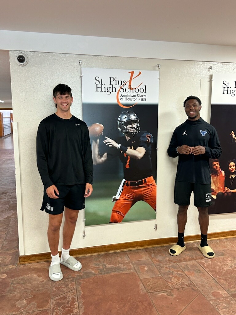 Shaun Stephens tweet media