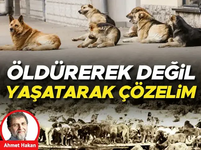 Ahmet Hakan yazdı: Öldürerek değil yaşatarak çözelim 🖊️@ahmethc hurriyet.com.tr/yazarlar/ahmet…