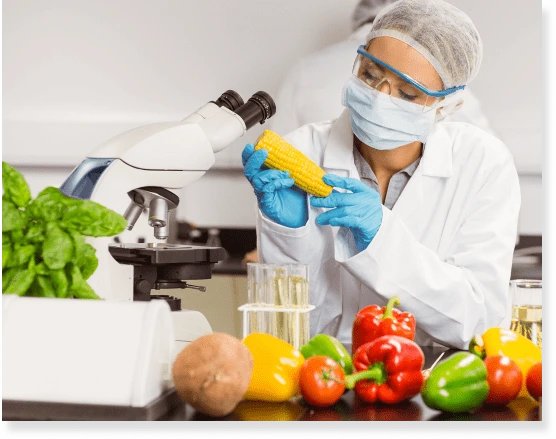 Food Safety Testing Company manages its Financial Liquidity to ensure the Group Dive deep into this Blog Insights @ researchnester.com/case-study/ret… #foodsafetytesting #retailfood #consumerproductsindustry #marketresearch #researchnester