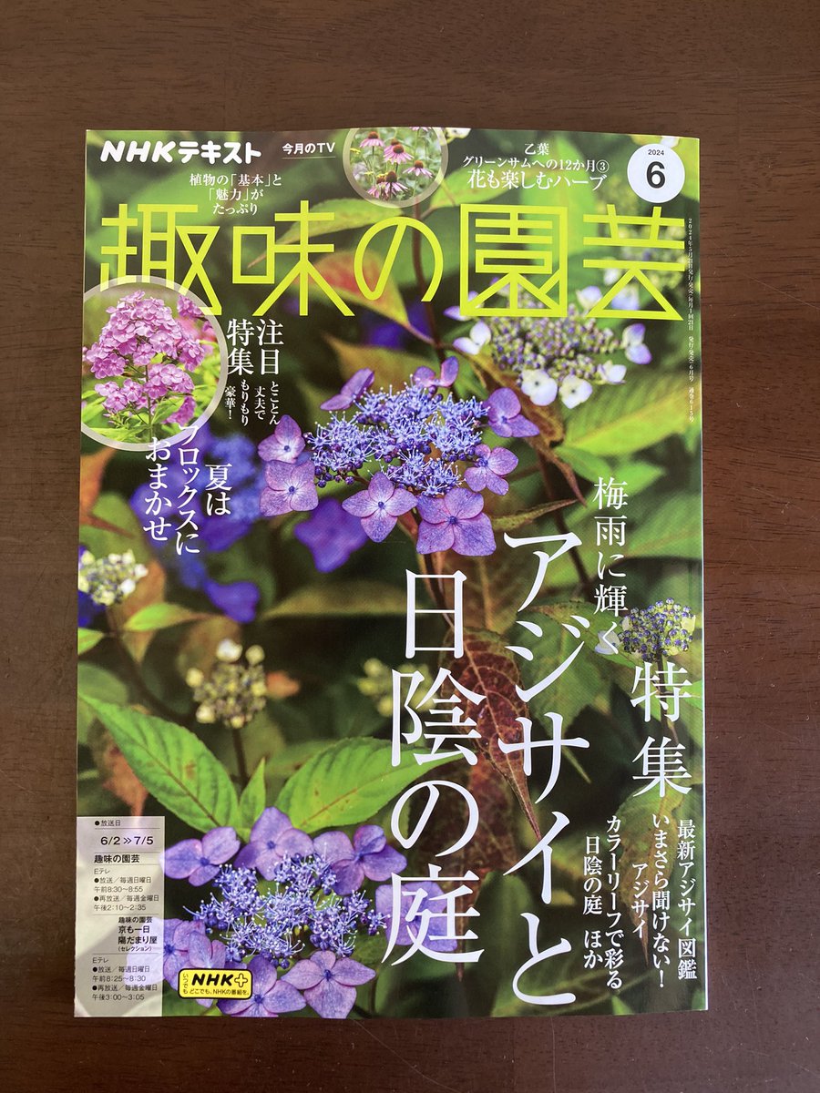kaopustore's tweet image. #趣味の園芸
#NHK出版
6月号はアジサイ特集です。
さかもと園芸さんの品種もたくさん掲載されております。
小窓の画像でちょこちょこと私の撮ったものもありますの。
嬉しい☺️掲載ありがとうございます😊