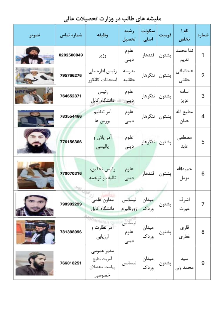 Afg Green Trend tweet media