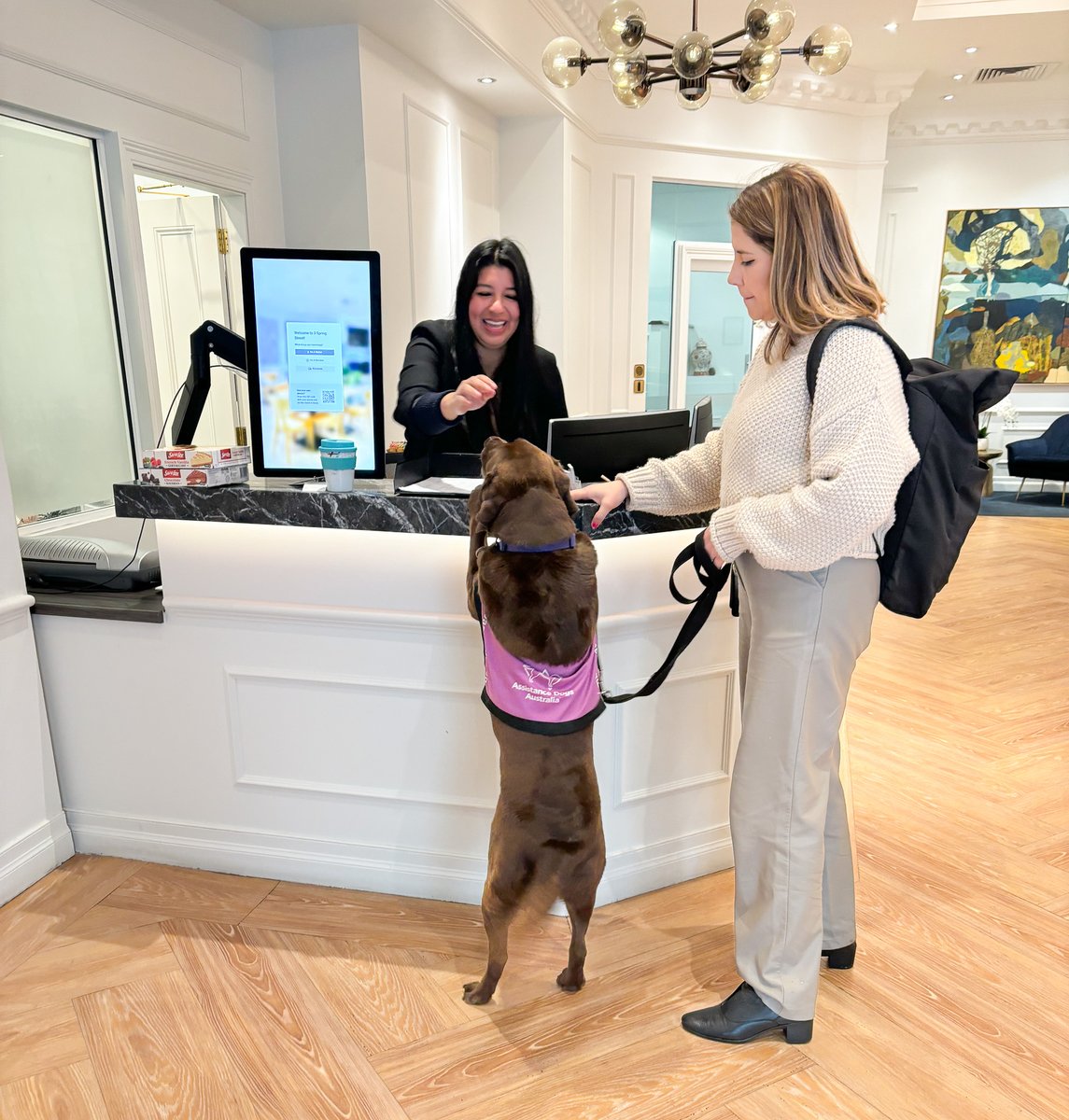 christiespaces's tweet photo. Happy Friday! Every morning Chloe always makes sure to say hello to our friendly community team at reception (and collect a treat!) 🐶 👋 
#ChristieSpaces #CoworkingSydney #DogsFriendlyOffices #DogsofCoworking #FlexibleOffices #CoworkingCommunity https://t.co/p2ZtLY6Sgu
