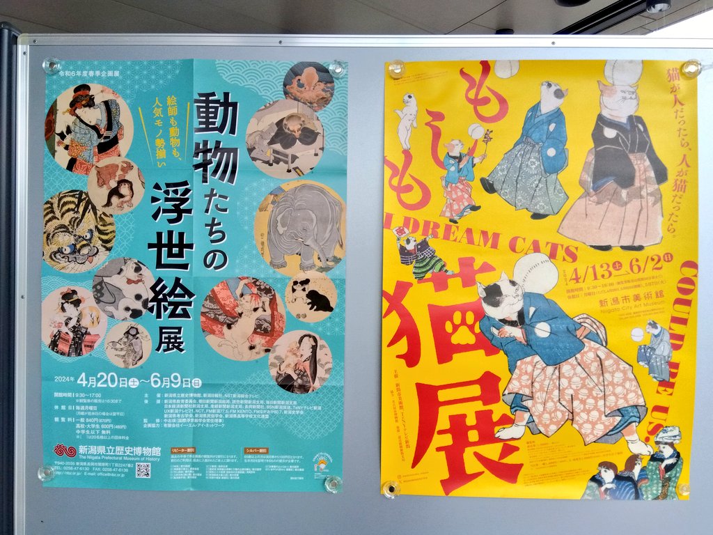 もしも猫展　キャンバス　日本製 未使用 もしも猫展 キャンバス 日本製 未使用 もしも猫展