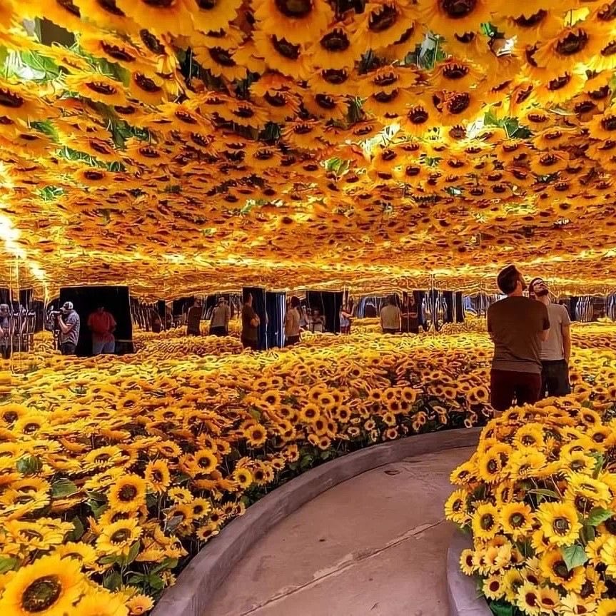 Van Gogh Sunflower Exhibition 🌻