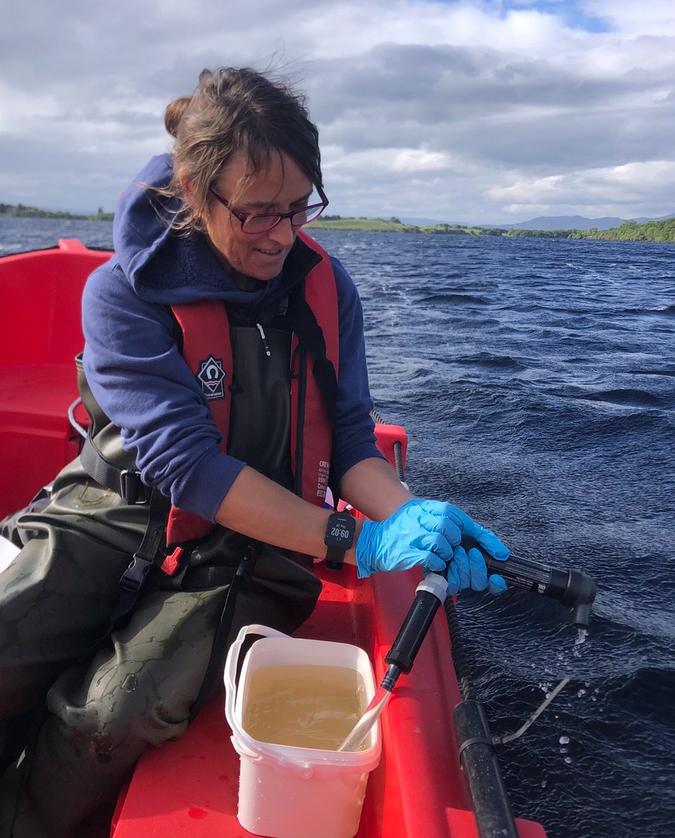 Marine Institute tweet media