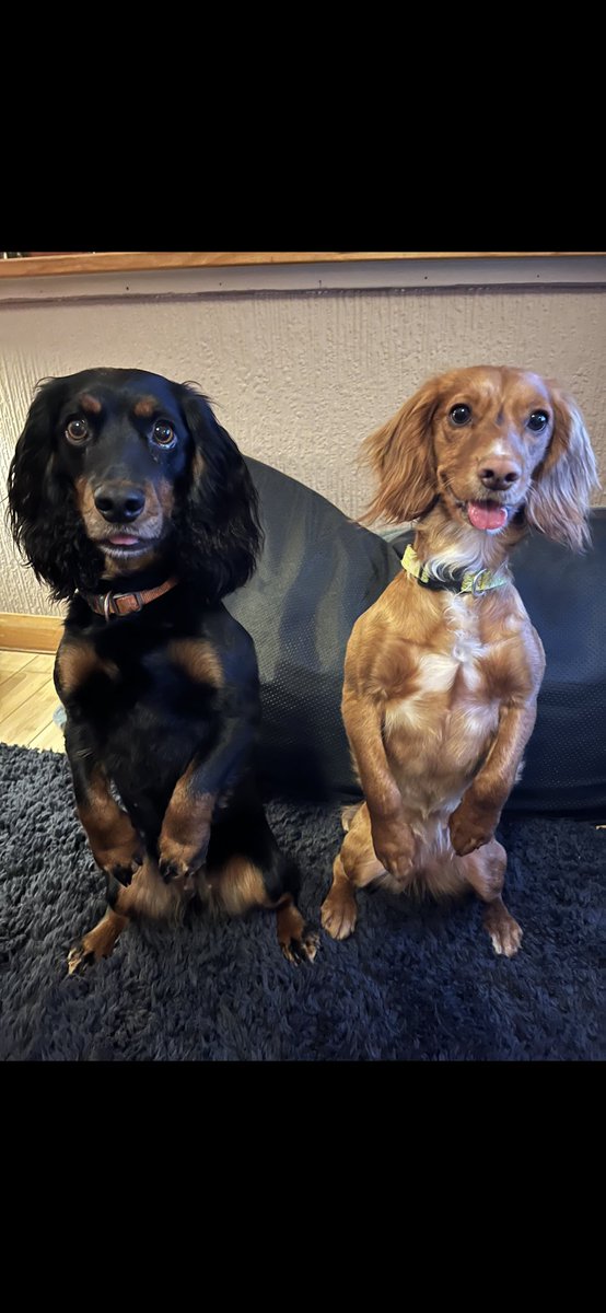 Hi have a great weekend. Havnt been on here for a while but I’m back in full of health now x