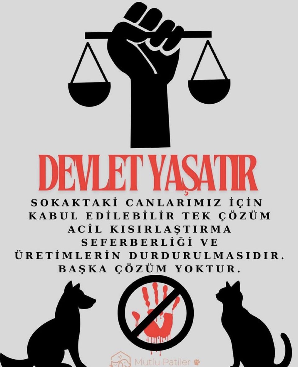 Sedef Erken (@sedeferken) on Twitter photo 