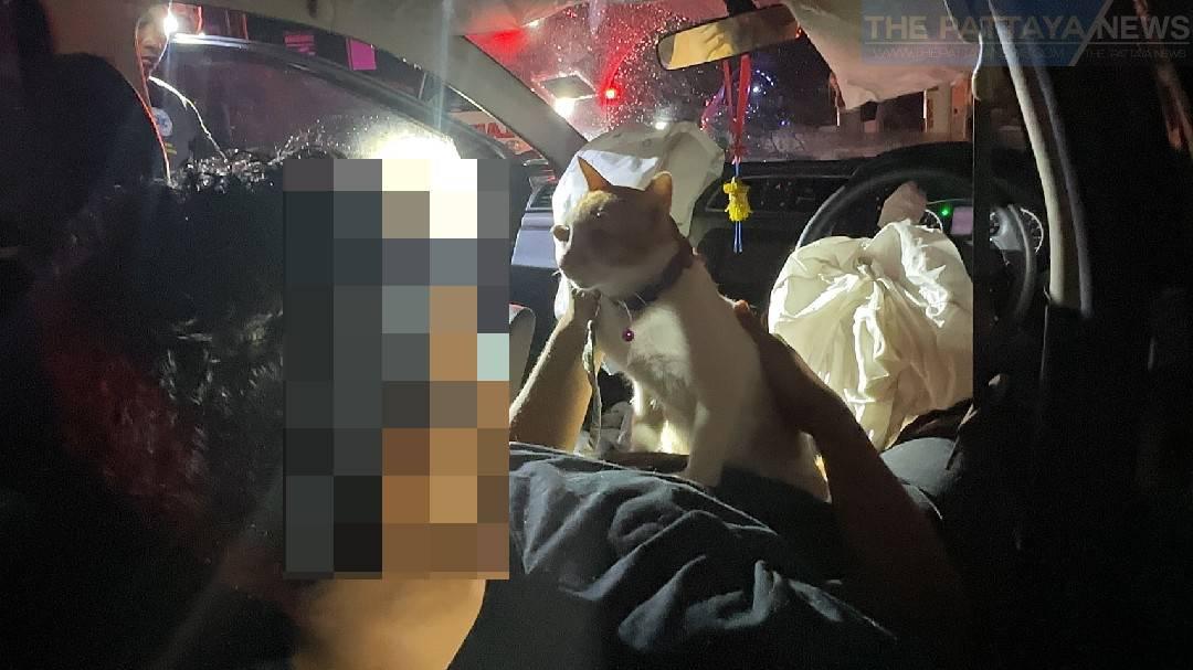 A man from Hong Kong who admitted he had smoked a large amount of cannabis and then gone driving crashed his car into a telephone pole in Pattaya last night but was uninjured, with rescuers surprised to see his also uninjured pet cat sitting on his chest.

thepattayanews.com/2024/05/24/hon…
