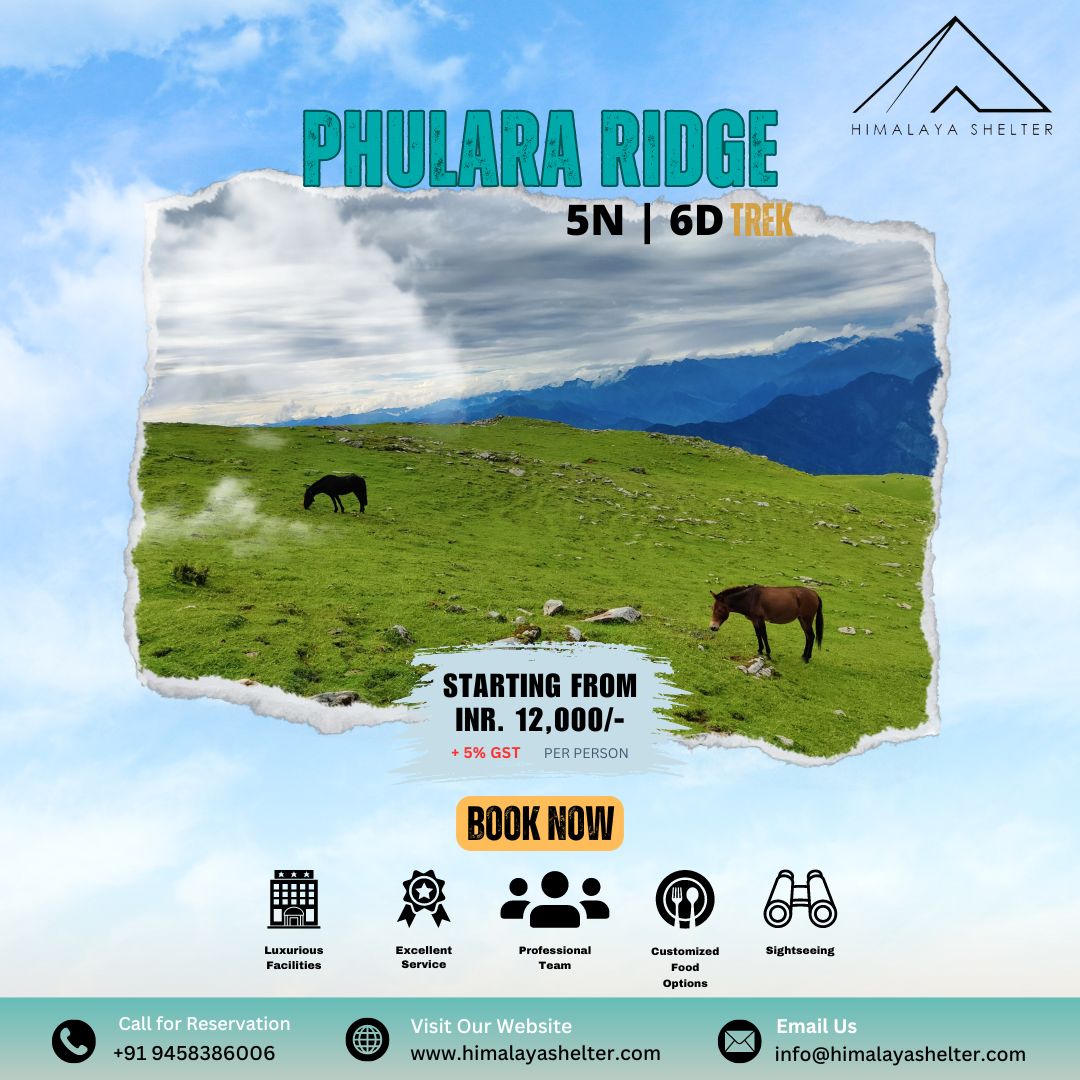 Ever dreamt of walking through the clouds? ☁️⛰️
The Phulara Ridge Trek is pure magic, with breathtaking views and endless adventures! 🌄💫
Tag along on this journey and let the mountains enchant you. ✨🏞️

For booking, contact us: 
📞 +91 9458386006
📩 info@himalayashelter.com