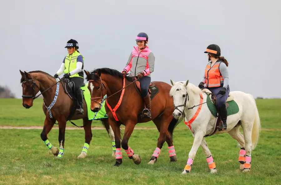 YourHorse's tweet photo. Looking to up your #Hack1000Miles total? Motivate yourself to saddle up this summer with BHS Rideathon https://t.co/1TDURVgWuV https://t.co/w3oj1SRfX4