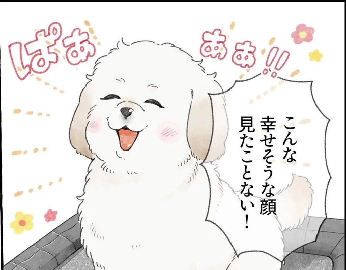 いぬのきもちWEB MAGAZINE様にて先月公開された『デオシート消臭ラボ』の記事でタイアップ漫画を描かせていただきました!!

愛犬をモデルにしたワンコが登場します🐶

▶︎https://t.co/LEhKhAKkbo 
