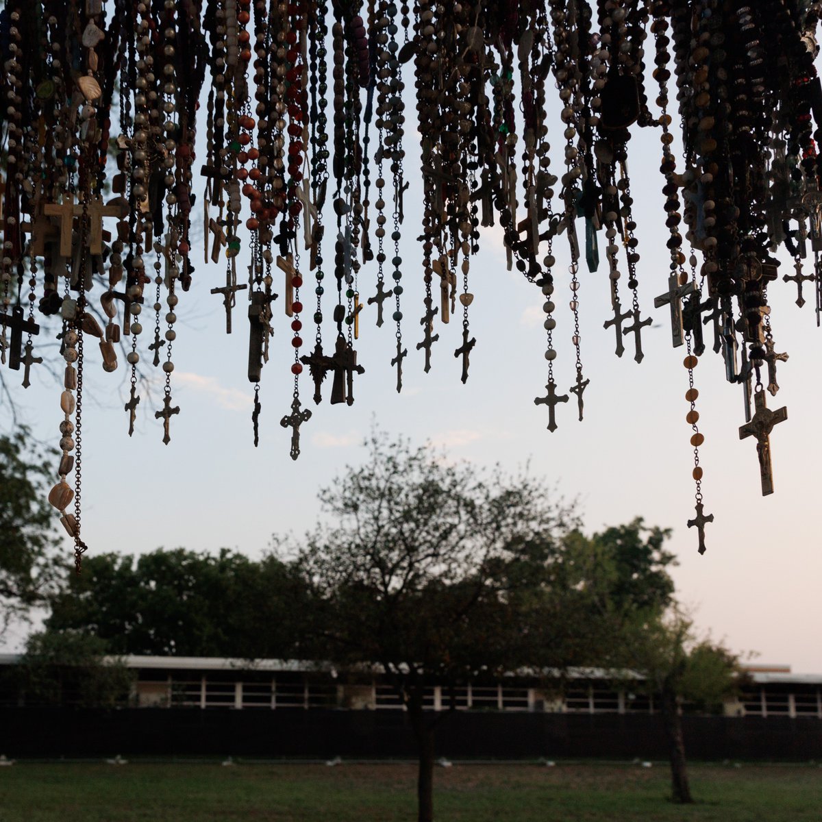 Sam Owens tweet media