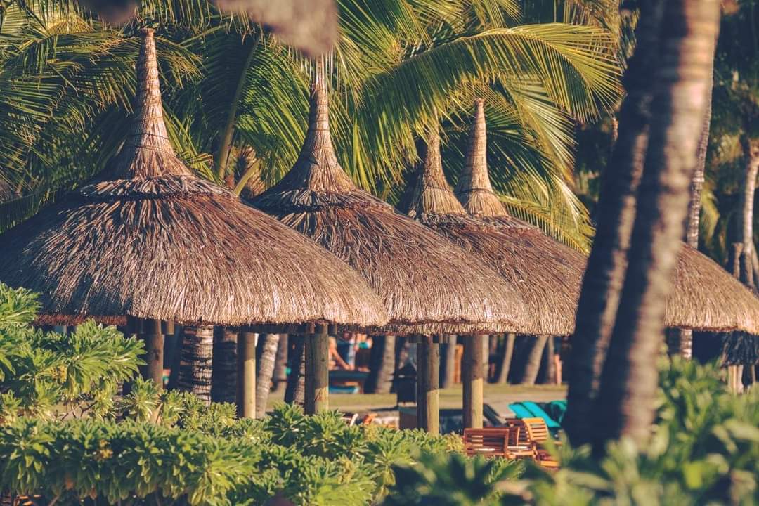 beachtag's tweet photo. 🌴Friday Feels and Best Vibes in Mauritius!

The best beach vacation waiting for you. 

🌺The perfect family beach escape done right!
⛱https://t.co/THuAoAbMwd
🧳Sea you SOON - It's Time. https://t.co/SSHfotFkA8