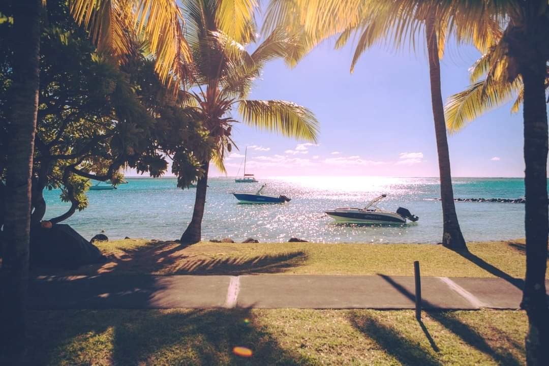 beachtag's tweet photo. 🌴Friday Feels and Best Vibes in Mauritius!

The best beach vacation waiting for you. 

🌺The perfect family beach escape done right!
⛱https://t.co/THuAoAbMwd
🧳Sea you SOON - It's Time. https://t.co/SSHfotFkA8