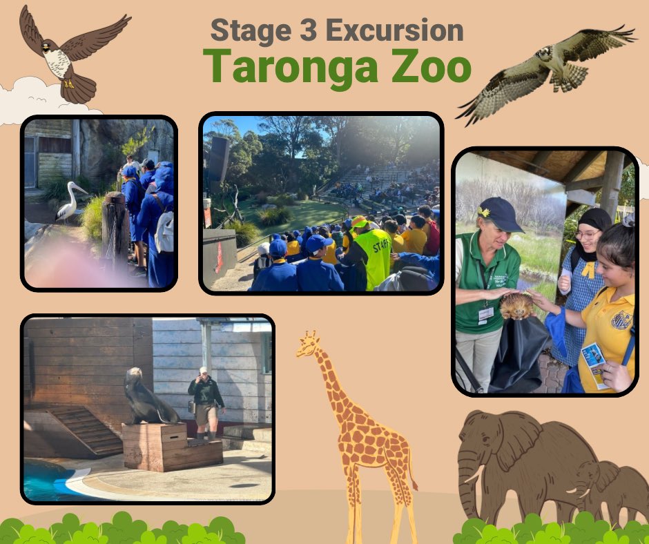 LakembaPS's tweet photo. Stage 3 students enjoyed exploring a range of habitats and learning about adaptations at Taronga Zoo. https://t.co/W4iwQzFyuw