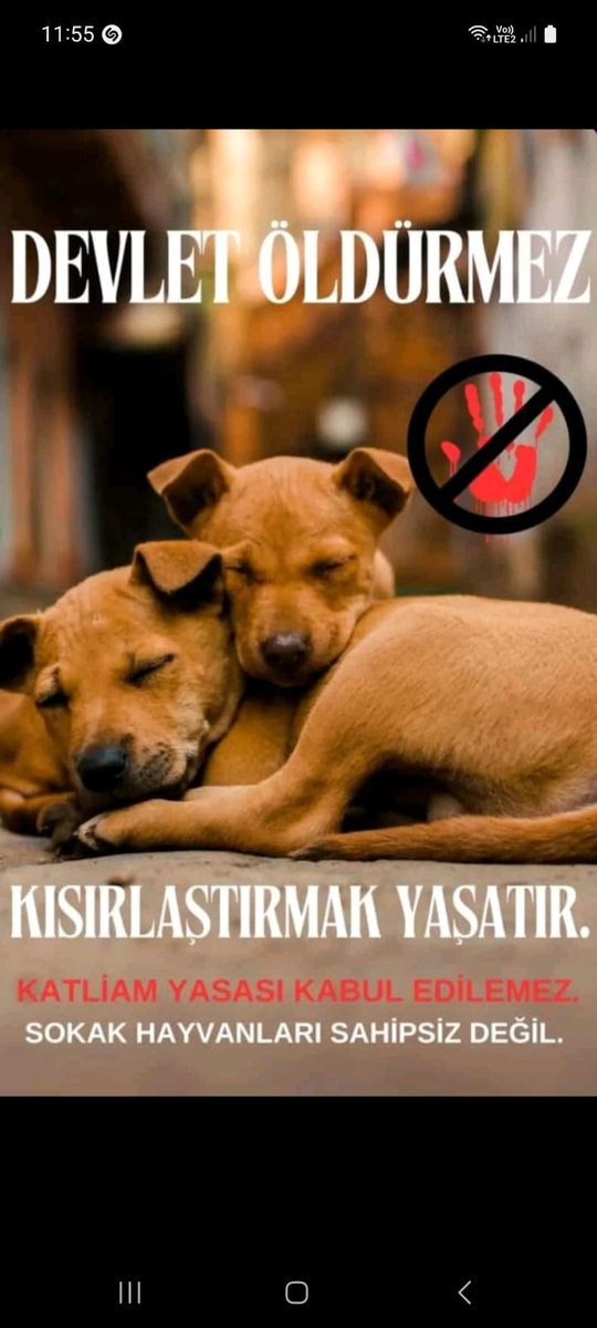 HalukBalkaya's tweet photo. https://t.co/gZhQ3dGLpo